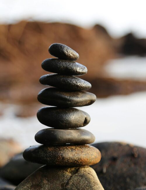 pexels-pixabay-355863