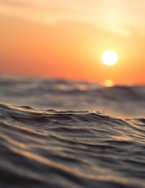 pexels-sebastian-189349